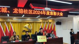盛世人生就是博物业荣获2024年社区表彰大会奖项